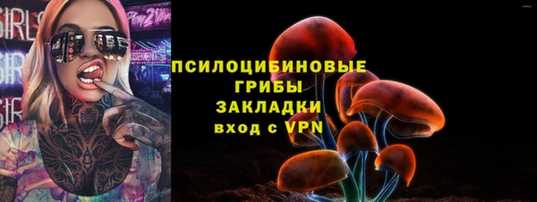 спиды Абаза