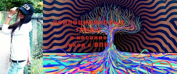 таблы Алзамай
