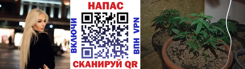 Каннабис SATIVA & INDICA  Ряжск 