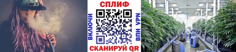 Каннабис тримм Ряжск